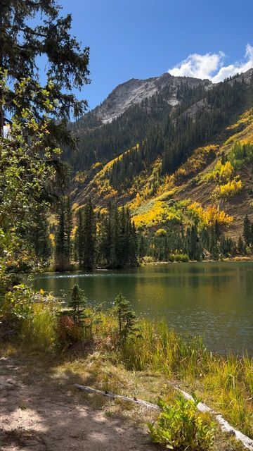 Colorado In October, Colorado In Fall, Fall In Colorado, Colorado Hiking Trails, Colorado Aesthetic, September Mood, Lace Photography, Dream Holidays, Road Trip To Colorado