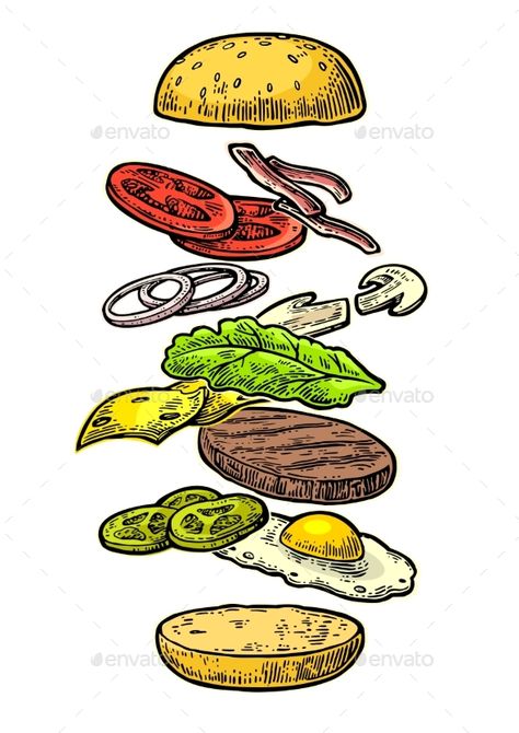 Burger Ingredients on White Background Burger Ingredients Illustration, Vintage Burger Illustration, Burger Drawing Illustration, Burger Illustration Graphics, Burger Background, Hamburger Drawing, Burger Illustration, Burger Drawing, Burger Art