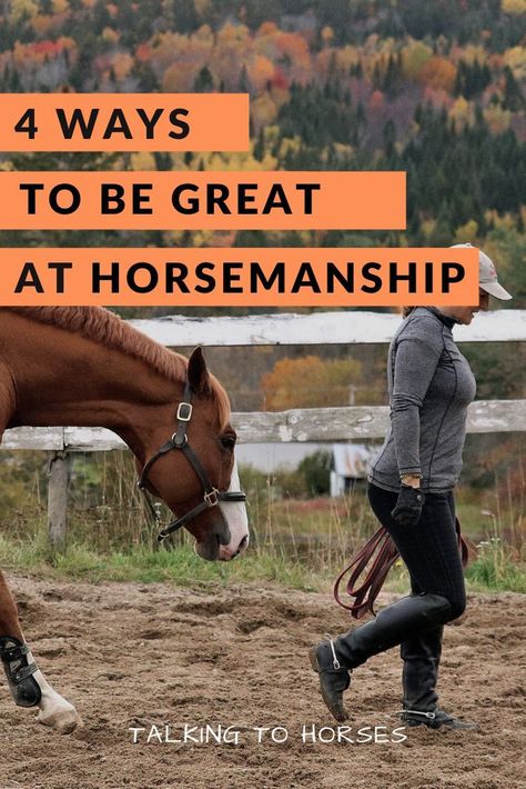 Horse Groundwork, Good Reminders, Herd Mentality, Horse Riding Attire, Horse Obstacles, Natural Horsemanship Training, Riding Exercises, Trail Riding Horses, Horse Training Exercises