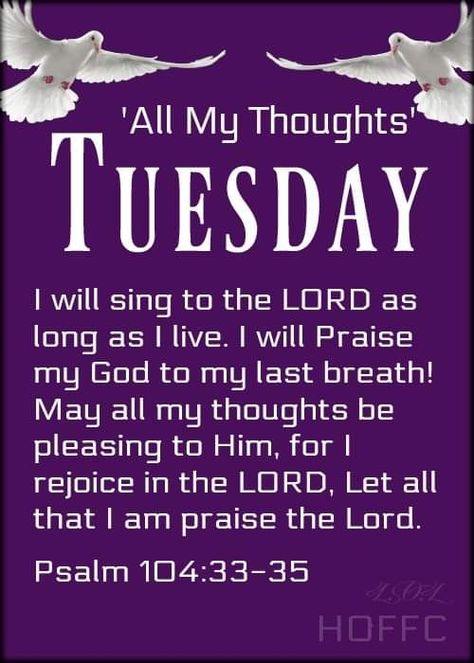 Tuesday Evening Blessing, Morning Tuesday Quotes, Good Morning Tuesday Quotes, Happy Good Morning, Happy Tuesday Morning, Tuesday Quotes Good Morning, Tuesday Inspiration, Morning Scripture, Tuesday Blessings