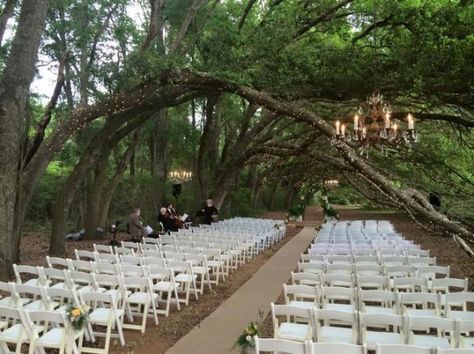 Oak Hollow Farms - Fairhope, Alabama  25 beautiful places to get married in Alabama | AL.com Beautiful Places To Get Married, Alabama Wedding Venues, Farm Wedding Venue, Alabama Weddings, Destination Wedding Locations, Places To Get Married, Affordable Wedding Venues, Best Wedding Venues, Wedding Registry