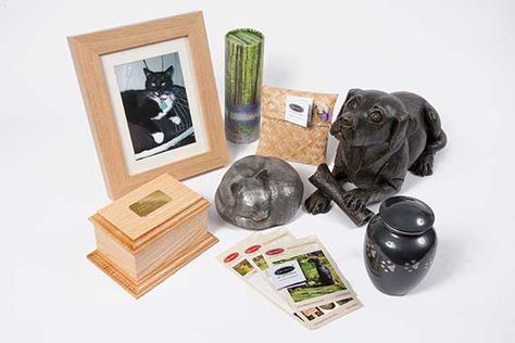 choose-your-casket-or-urn-at-dignity-pet-crematorium Cremation Services, Pet Cremation, Your Pet, Bookends, Pet