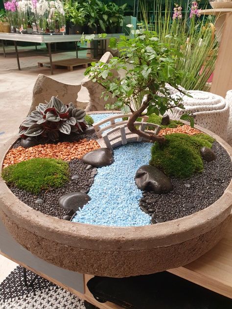 Bonsai Fairy Garden, Fairy Zen Garden, Mini Bonsai Garden, Cactus Fairy Garden, Dish Garden Ideas Plants, Dish Garden Ideas, Mini Zen Garden Design, Mini Zen Garden Ideas, Mini Jardin Zen