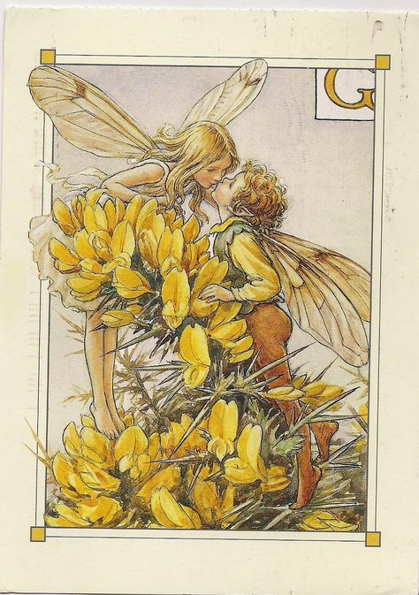 Gorse Fairy Cicely - Google Search Fairy Paintings, Fairy Drawings, Fairy Illustration, Cicely Mary Barker, Fairy Artwork, Vintage Fairies, Fairy Book, Flower Fairies, Illustration Vintage