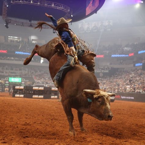 PBR bunkhouse 🤠🐂🌟 on X: "#HatDown https://t.co/by7JhnRKS3" / X Bull Photography, Pbr Bull Riders, Pbr Bull Riding, Jacket Painting, Bucking Bulls, Caw Caw, Cowboy Life, Rodeo Time, Bull Rider