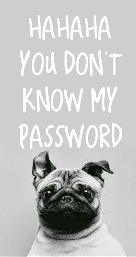 Password Wallpaper, Dont Touch My Phone, Wallpaper Dog, Funny Morning Pictures, My Password, Fun Quizzes To Take, Islamic Wallpaper Hd, Cute Wallpapers For Ipad, Dont Touch My Phone Wallpaper