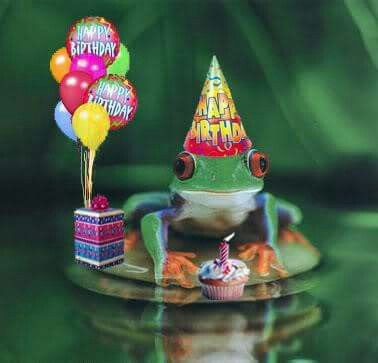 Birthday Frog Happy Birthday Frog, Happy Birthday Jeff, Birthday Frog, Twins First Birthday, Beatles Birthday, Free Happy Birthday Cards, Wish You Happy Birthday, Frog Meme, Happy Birthday Kids