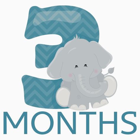 3 months old! Jungle/Safari themed milestone stickers, cards, and onesies! 3 Month Old Milestones, Milestones Quotes, 3 Month Old Baby Pictures, Puppy Crafts, Safari Baby Animals, Baby Month Stickers, Monthly Baby Pictures, Cute Scrapbooks, Newborn Announcement