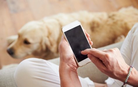 24 Dog Apps Every Pet Parent Needs in 2021 Dog Apps, Good Blood Pressure, Pet Tracker, Dog Safety, Tech Savvy, Dog Parents, Pet Owner, Hamsters, Best Apps