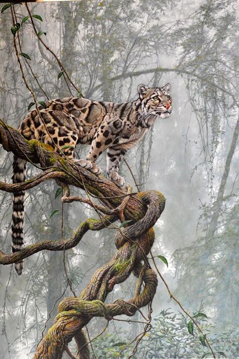 Cloud Walker original painting by Alan M Hunt, Clouded Leopard #alanmhunt #wildlife #wildlifeart #wildlifeartist #leopard #cloudedleopard Leopard Artwork, Leopard Painting, Regnul Animal, Leopard Art, Clouded Leopard, Big Cats Art, Wildlife Paintings, Wildlife Artists, Animals Artwork