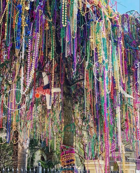 New Orleans Louisiana Mardi Gras Carnival New Orleans, Mardi Gras Party Aesthetic, French Quarter Themed Party, Louisiana Mardi Gras Aesthetic, New Orleans Mardi Gras Pictures, Mardi Gras Louisiana, Mardi Gras Themed Wedding, New Orleans Mardi Gras Aesthetic, New Orleans Culture