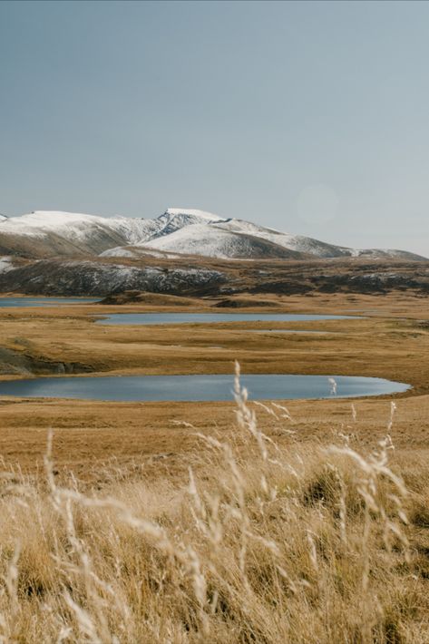 Landscape Scenery of Grassland Across the Mountains Grassy Landscape, Urban Design Graphics, Mountain Valley, Inspo Board, Landscape Scenery, Snowy Mountains, Forest Landscape, Design Graphics, Landscape Ideas