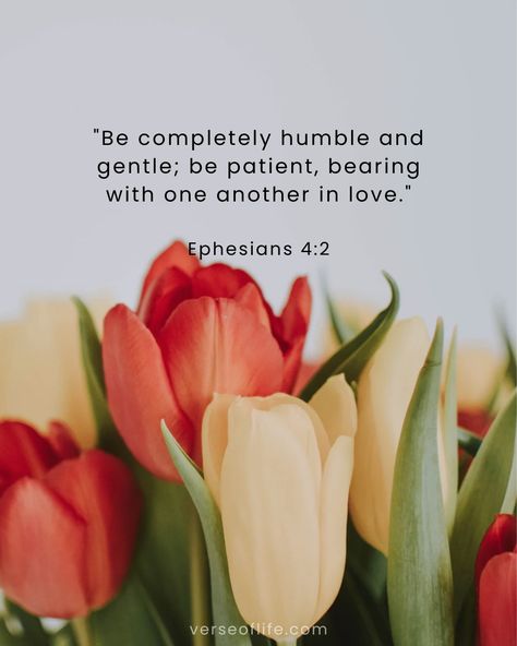 In a fast-paced world that often prioritizes self-interest, this verse serves as a powerful reminder to approach others with a heart of humility, gentleness, and patience. When we choose to love others deeply, even in challenging moments, we reflect Christ's love to the world. 💖✨ Today, let us strive to embody these qualities in our interactions with others. Whether it's a family member, friend, or stranger, let's extend grace, practice active listening, and respond with kindness. 🌿🤗 Share th... Happy Scripture, Verses About Love, Bible Verses About Love, Beautiful Bible Verses, Active Listening, Bible Words, Love Others, Fast Paced, Verse Quotes