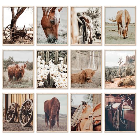 PRICES MAY VARY. What You Will Receive - The set includes 12pcs highland cow wall art prints, each piece measures about 8 x 10inch. Different designs give your multiple collaborative choices for wall decoration or photo frames.(The wall art prints are UNFRAMED.) Farmhouse Cow Theme - Our wall art prints are all scenery photos of highland cow theme from western farm, take a minimalist farmhouse style, vividly show a beautiful and rustic old west ranch scenery, they will fit perfectly and can beco Highland Cow Bedroom Decor, Ranch Scenery, Highland Cow Wall Art, Farm Wall Decor, Horse Room, Poster Room Decor, Minimalist Farmhouse, Infinite Art, Cowboy Pictures