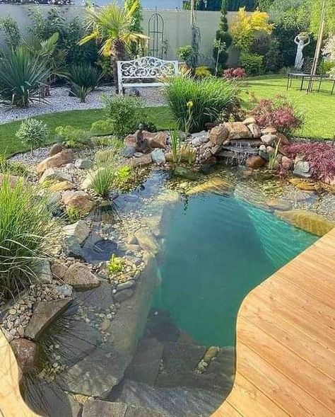 Fairy Garden Fountain, Diy Ponds Backyard, Swimming Ponds, Diy Water Feature, Urban Homestead, Natural Swimming Ponds, Garden Pond Design, Diy Pond, Swimming Pond