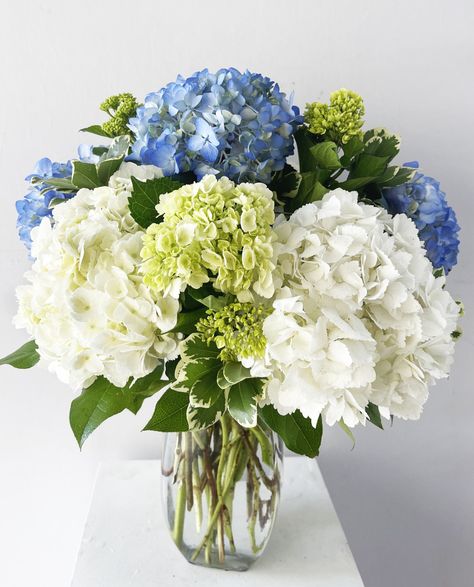 A vase of hydrangeas creates a simple and elegant floral arrangement.  This beautiful vase is filled with hydrangeas. These voluminous blooms are known for their large, lush petals in various shades of blue, green and white, depending on the variety.  The hydrangeas fill the vase with their abundant clusters, creating a stunning display of color and texture. Their rounded blooms are soft and velvety to the touch, evoking a sense of charm and grace.  The simplicity of a hydrangea arrangement allo Blue Green White Hydrangea, Blue And White Hydrangea Arrangements, Blue And Green Hydrangea Centerpiece, Blue Green Hydrangea, Blue Green Flower Arrangements, White Green And Blue Wedding Centerpieces, Hydrangea Blue Aesthetic, Green And Blue Flower Arrangements, Blue Hydrangea Flower Arrangements