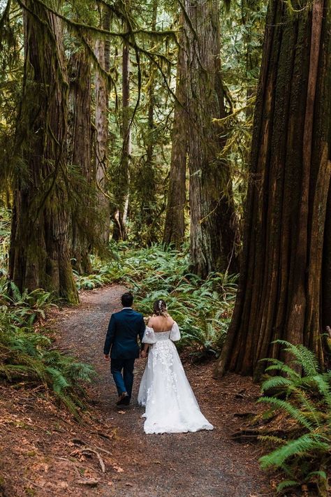 Dreamy Forest Wedding, Rainy Engagement Photos, Dreamy Forest, Intimate Outdoor Wedding, Forest Elopement, Airbnb Wedding, Joshua Tree Elopement, Cascade National Park, Cabin Wedding