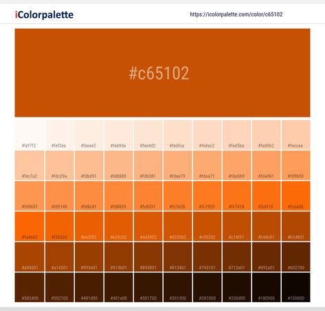 Color Palette Orange, Pantone Color Book, Space Information, Pantone Orange, Orange Color Palette, Orange Palette, Hexadecimal Color, Hex Color, Pantone Colour Palettes