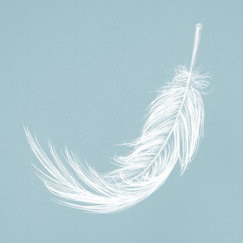 Feather Illustration Design, Feather Aesthetic, Psd Aesthetic, Feather Symbolism, Feather Icon, Vip Ticket, Aesthetic Tumblr Backgrounds, Feather Illustration, Feather Texture