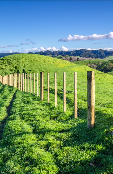 How To Set Posts Without Concrete: Step By Step, Tips - DIY Projects - Howtobuildit.com Landscaping Walls, Fence Post Installation, Horse Shelters, Concrete Step, Diy Horse Barn, Broken Concrete, Horse Shelter, Deer Fence, Diy Horse