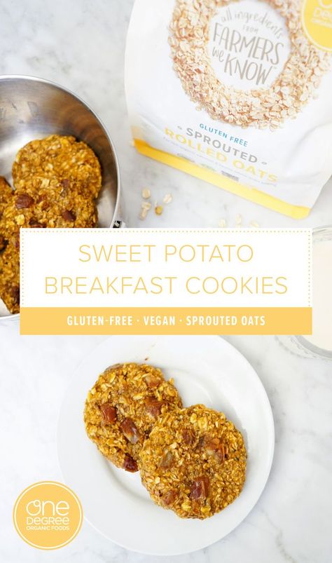 Sprouted Sweet Potato, Sprouted Rolled Oats Cookies, Sprouted Oatmeal Recipes, Sprouted Rolled Oats Recipes, Sprouted Oats Recipes, Sprouted Rolled Oats, Sprouted Oats, Fast Healthy Breakfast, Breakfast Cookies Gluten Free