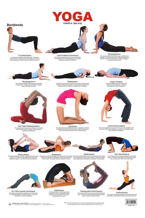 A Health Blog on Twitter: "Bridge pose is helpful for relieving menopause symptoms ➡ https://t.co/OPLD0xwvCV https://t.co/GmBya38xqr" Yoga Chart, Poses Easy, Membakar Lemak Perut, Yoga Backbend, Yoga Nature, Poses For Beginners, Yoga Beginners, Yoga Posen, Yoga Exercises