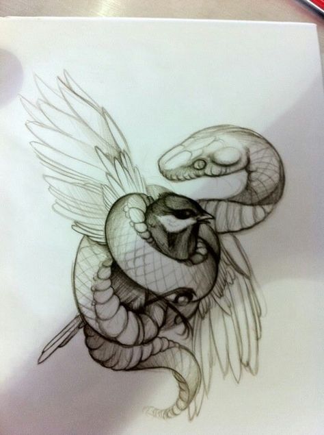 Snake and bird Snake And Bird Art, Snake And Bird Drawing, Bird And Snake Tattoo, Snake And Bird, Wes Lang, Tattoo Bird, Snake Drawing, Bird Sketch, Flower Illustrations