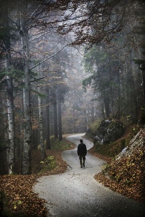 Steve Mccurry, Forest Trail, Nature Walk, Hero's Journey, Mountain Life, Winding Road, Free Time, Adventure Time, Photography Tips