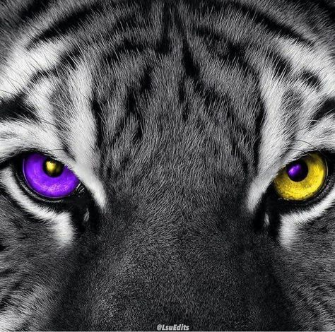 Lsu Softball, Lsu Tigers Art, Lsu Babies, Lsu Gameday, Lsu Game, Lsu Fans, Lsu Tigers Football, Louisiana Art, Lsu Football