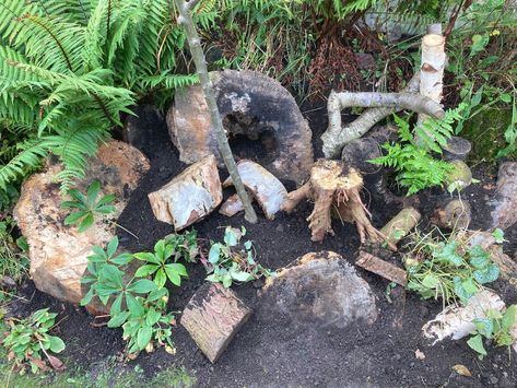 How to build: A Stumpery — The Wildlife Gardening Company Wildlife Garden Ideas Uk, Wildlife Garden Ideas, Wildlife Garden Design, Garden Ideas Uk, Evergreen Ferns, Tree Surgeons, Solitary Bees, Wildlife Garden, Take Shelter