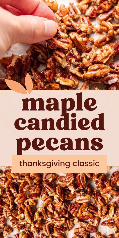 Discover how to make Maple Glazed Pecans from scratch with just 3 ingredients! They add a sweet, nutty crunch to salads, desserts, breakfast recipes, or holiday charcuterie boards. Glazed Nuts Recipe, Glazed Pecans Recipe, Pie Breakfast, Holiday Charcuterie, Vegetarian Thanksgiving Recipes, Glazed Pecans, Affordable Recipes, Pecan Pies, Pumpkin Treats