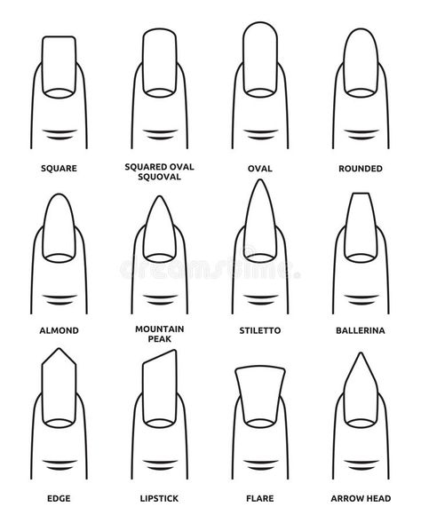 Different nail shapes - Fingernails fashion Trends vector illustration Printable Nail Art Templates, Printable Nail Art Practice Sheet, Nail Shape Chart, Types Of Nails Shapes, Printable Nail Art, Nail Tech Quotes, Nail Tech School, Nails Oval, Shape Chart