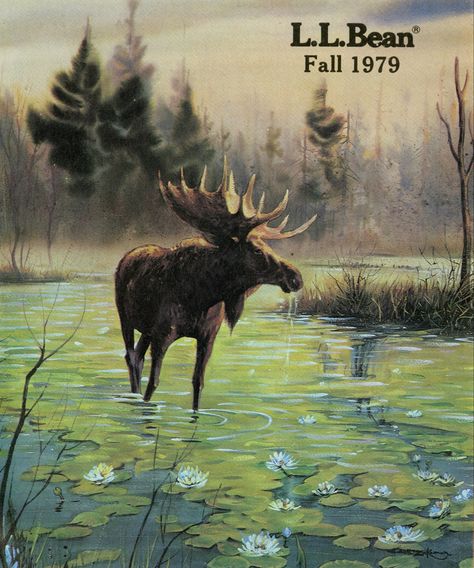 Ll Bean Catalog, 70s Landscape, Live Sustainably, Graphic Design Style, National Parks Map, Moodboard Aesthetic, Adventure Aesthetic, Deer Art, Retro Sign