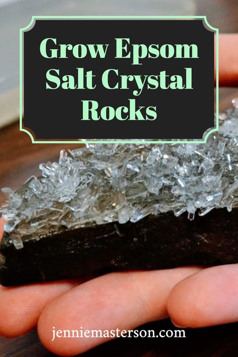 Growing Epsom Salt Crystals, Crystal Growing Experiment, Grow Your Own Crystals Diy, Grow Crystals On Objects, Salt Crystal Experiment, Alum Crystals How To Grow, Crystal Growing Science Fair Project, Grow Crystals For Kids, Salt Crystal Leaves