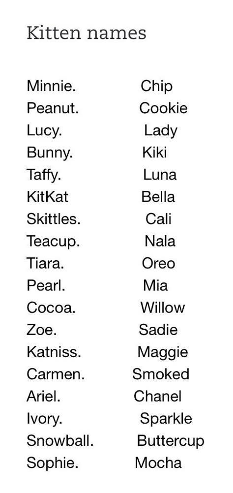 Dog Pet Names, Cat Ideas Name, Widgetable Pet Names, Pet Names For Animals, Pet Cat Names, Cute Kittens Names, Cute Names For Cats Kittens, Aesthetic Pet Names For Cats, Gmail Ideas Names