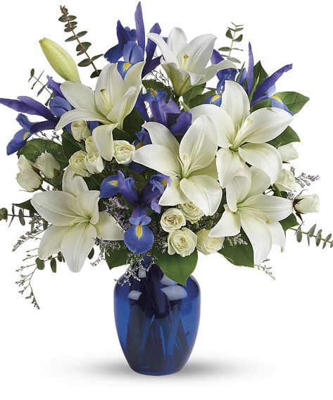 Get Well Balloons, Congratulations Balloons, White Spray Roses, Favorite Friend, Asiatic Lilies, Halloween Balloons, White And Blue Flowers, Winter Sky, Pink Bouquet