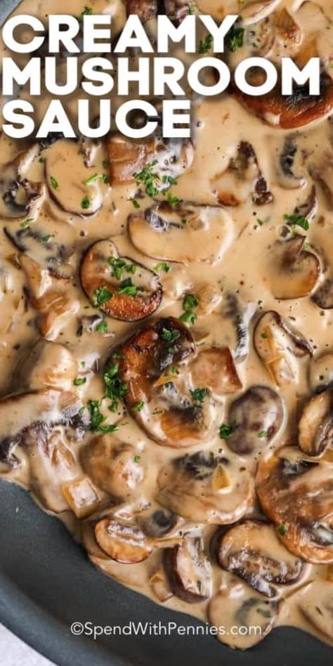 This easy mushroom sauce recipe is quick to prepare! Made with white wine, chicken broth, and heavy cream it is rich and creamy and full of flavor! #spendwithpennies #mushroomsauce #easysaucerecipe #sauce #bestmushroomsauce #homemade Chicken Creamy Mushroom Sauce, Creamy White Wine Mushroom Sauce, Mushrooms Cream Sauce, Easy Mushroom Sauce For Pasta, White Mushroom Sauce Recipe, Mushroom Gravy With Cream Of Mushroom Soup, Easy Meals With Mushrooms, Chicken Schnitzel With Mushroom Sauce, Mushrooms In Sauce