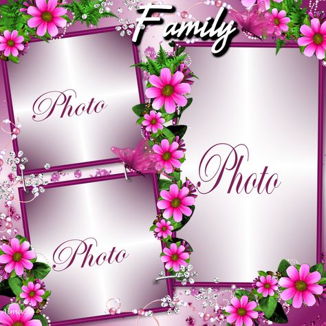 Family Frame #Alma50 #pictureFrames Family Photo Frames Collage, Photoshop Wallpapers, Monthly Celebration, Family Frame, Digital Picture Frames, Foto Frame, Flower Picture Frames, Family Picture Frames, Girly Frame