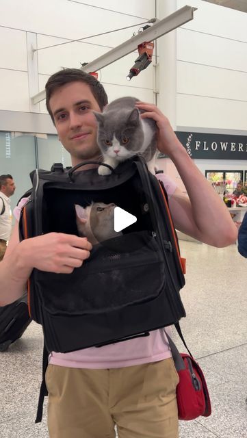 Prince Louie (🦁) & Todd (🐷) on Instagram: "⬇️Tips for traveling with your pet(s):

1. Make sure to get an airline-approved pet carrier (preferably a soft-sided one) - dimensions usually must be less than 18” x 11” x 11”.

2. Check with your airline for their max. allowed pet weight (typically 25lbs or less).

3. Reserve a pet carrier ticket at least 48 hours before your flight, but preferably 1 week in advance to make sure there’s enough space on the plane. 

4. You don’t need any health documentation for domestic flights, but for international travel all countries require proof of rabies vaccination and many also require a health certificate from your vet.

5. Pack treats, your pet’s favorite toys, portable pet water bottle, and portable litter box (for cats) for 4hr+ flights. 

6. If y Prince Louie, Airline Approved Pet Carrier, Pet Water Bottle, Safe Travels, On The Plane, Domestic Flights, Pet Care Tips, All Countries, Cat Stuff