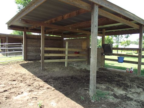 Best 25+ Field shelters ideas on Pinterest | Horse shelter, Firewood prices  and Cheap firewood Pasture Shelter, Field Shelters, Horse Shed, Livestock Shelter, Horse Barn Ideas Stables, Barn Stalls, Cow Pasture, Horse Shelter, Horse Barn Plans