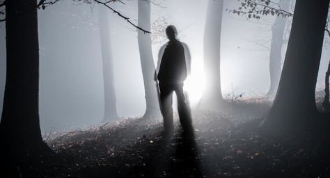 5 Real Stories That Are Just Horror Films Come To Life Real Life Horror Stories, Paranormal Stories, The Watcher, Unexplained Phenomena, Park Ranger, Urban Legends, Witchy Woman, Scary Stories, Horror Story