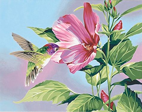 Amazon.com - Dimensions Needlecrafts Paintworks Paint By Number, Hibiscus Hummingbird - Childrens Paint By Number Kits Hummingbird Painting, Diy Oils, Wall Decor Pictures, Puzzle Art, Paint By Number Kits, Art Kit, Hibiscus Flowers, 5d Diamond Painting, Paint By Number