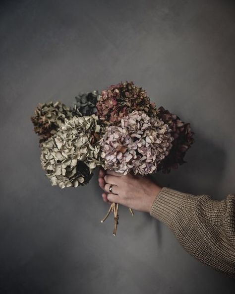 Dried Hydrangeas Decor Ideas, Kitchen Shoot, Dried Hydrangeas, Dried Bouquet, Fall Deco, Dry Flowers, October 20, Dried Flower Arrangements, Flower Farm