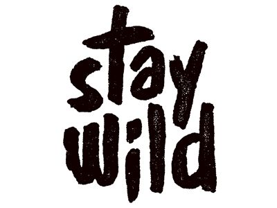 Stay Wild by Dan Cassaro Word Up, Stay Wild, The Words, Great Quotes, Beautiful Words, Inspire Me, Inspirational Words, Cool Words, Words Quotes