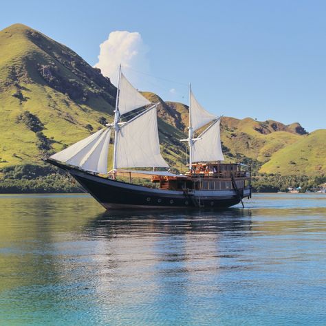 Labuan Bajo Tour Package | Flores Komodo Tour | Hello Flores Labuan Bajo Aesthetic, Clay Aesthetic, Labuan Bajo, Komodo National Park, Komodo Island, Shady Tree, Labuan, Image Background, Travel Plan