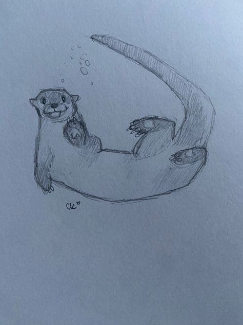 Just a quick little otter sketch for fun Cute Doodles Sea Animals, Sea Otters Drawing, Cute Water Animals Drawings, Simply Drawings Sketches, Cute Sea Otter Drawings, Drawing References Animals, Simple Water Drawing, Otter Sketch Easy, Cute Otter Drawing Easy