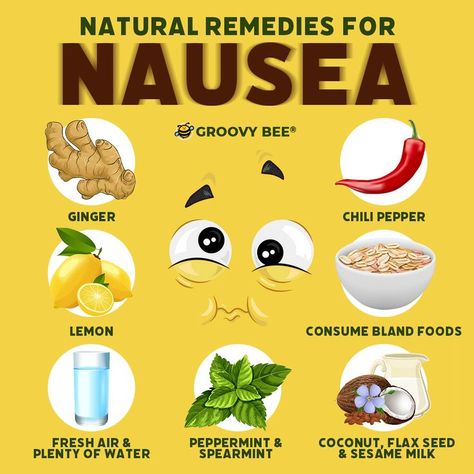 What To Eat When Nauseous, Food For Nausea, Causes Of Nausea, Natural Nausea Remedies, Remedies For Nausea, Bland Food, Food Health Benefits, Infused Water Recipes, Good Foods To Eat