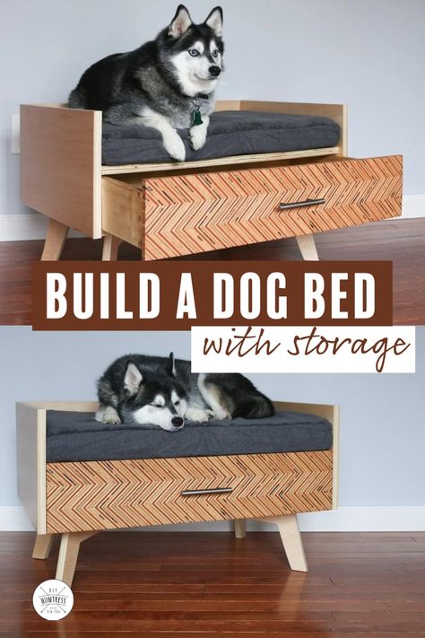 Dog Bed Bench Ideas, Hidden Dog Bed Ideas, Platform Dog Bed Diy, Platform Dog Bed, Diy Dog Bed With Storage, Diy Dog Furniture Ideas, Wood Dog Bed Diy, Cat And Dog Furniture, Diy Dog Platform Bed