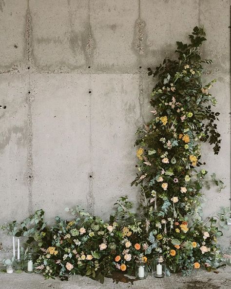 Stunning wedding ceremony backdrop with a beautiful cottage garden feel to it by swallows and damsons xx We are over on @designsponge today talking about our wild wall installation for @s1artspace Pop over and hear about this incredible space! Photo by @indiahobson **link in profile :) Modern Ceremony Backdrop, Wedding Venue Los Angeles, Floral Installation, Flower Installation, Wedding Ceremony Backdrop, Inexpensive Wedding Venues, Reception Flowers, Ceremony Inspiration, Climbing Wall