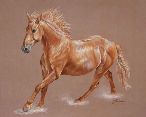 Palomino Horse Drawing, Horse Drawing Tutorial, Horse Spirit, Painting Horses, Palomino Horse, Horse Drawing, Cowboy Art, Horse Drawings, Painting Art Lesson